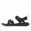 Men's 2 Strap Sport Sandal