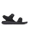 Men's Trailstorm Sandal Sport