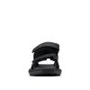 Men's Trailstorm Sandal Sport