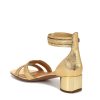 Women's Nora Ankle Strap Low Block Heel Sandal Heeled