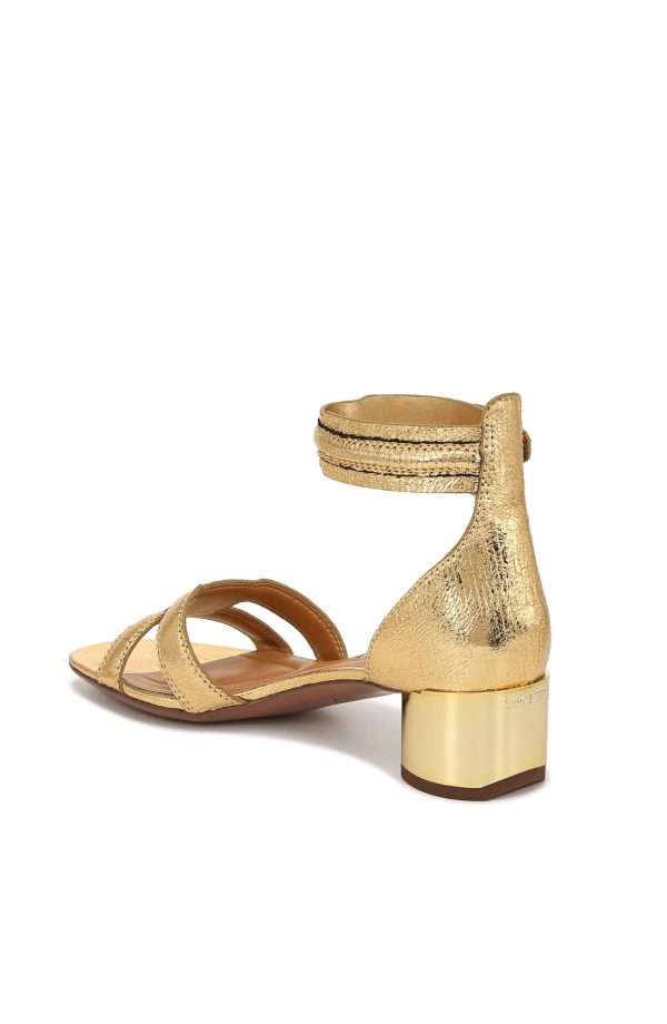 613QTeiC3ML.jpg Women's Nora Ankle Strap Low Block Heel Sandal Heeled