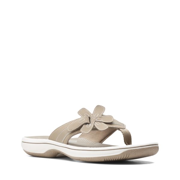 618bLg7lVqL.jpg Women's Brinkley Flora Flip-Flop