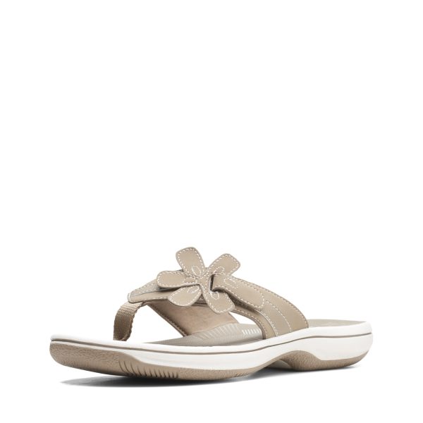 61Kx5P3UHxL.jpg Women's Brinkley Flora Flip-Flop