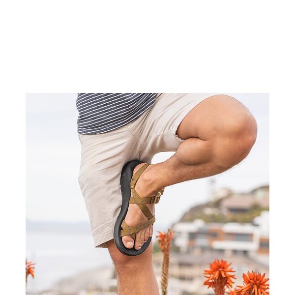 61PsCdV1QqL.jpg Men's Zcloud 2 Sandal