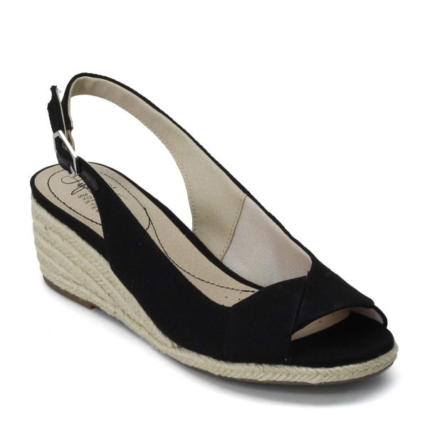 61nUJqn5DKL.jpg Women's Socialite