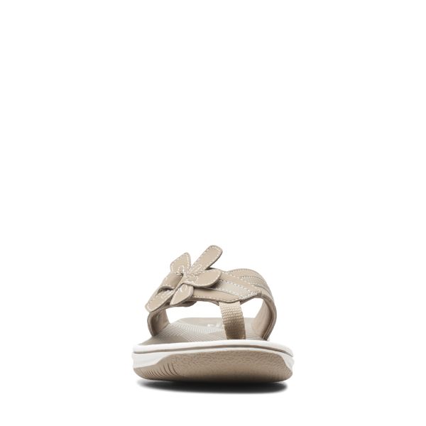 61pIT4HQiL.jpg Women's Brinkley Flora Flip-Flop