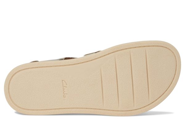 61uYm4mu7L.jpg Women's Arwell Sun Sandal