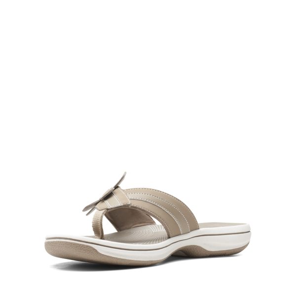 61yN5VocnML.jpg Women's Brinkley Flora Flip-Flop