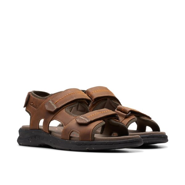 71IWWS8HXSL.jpg Men's Walkford Walk Flat Sandal