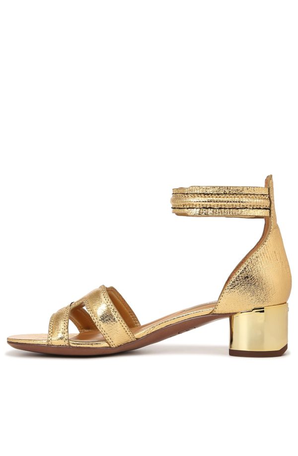 71qu4tv7nlL.jpg Women's Nora Ankle Strap Low Block Heel Sandal Heeled